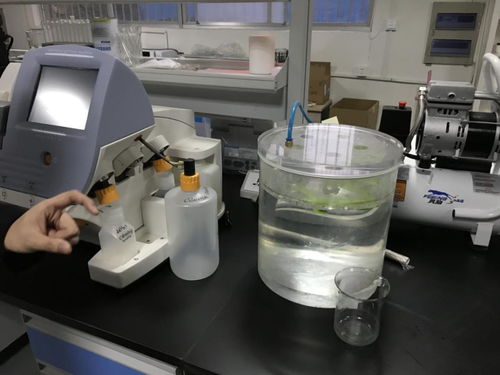 贝爱益生全国合伙人齐聚科尔工厂，零距离见证羊初乳CPP复合粉安全生产与网络安全技术研发